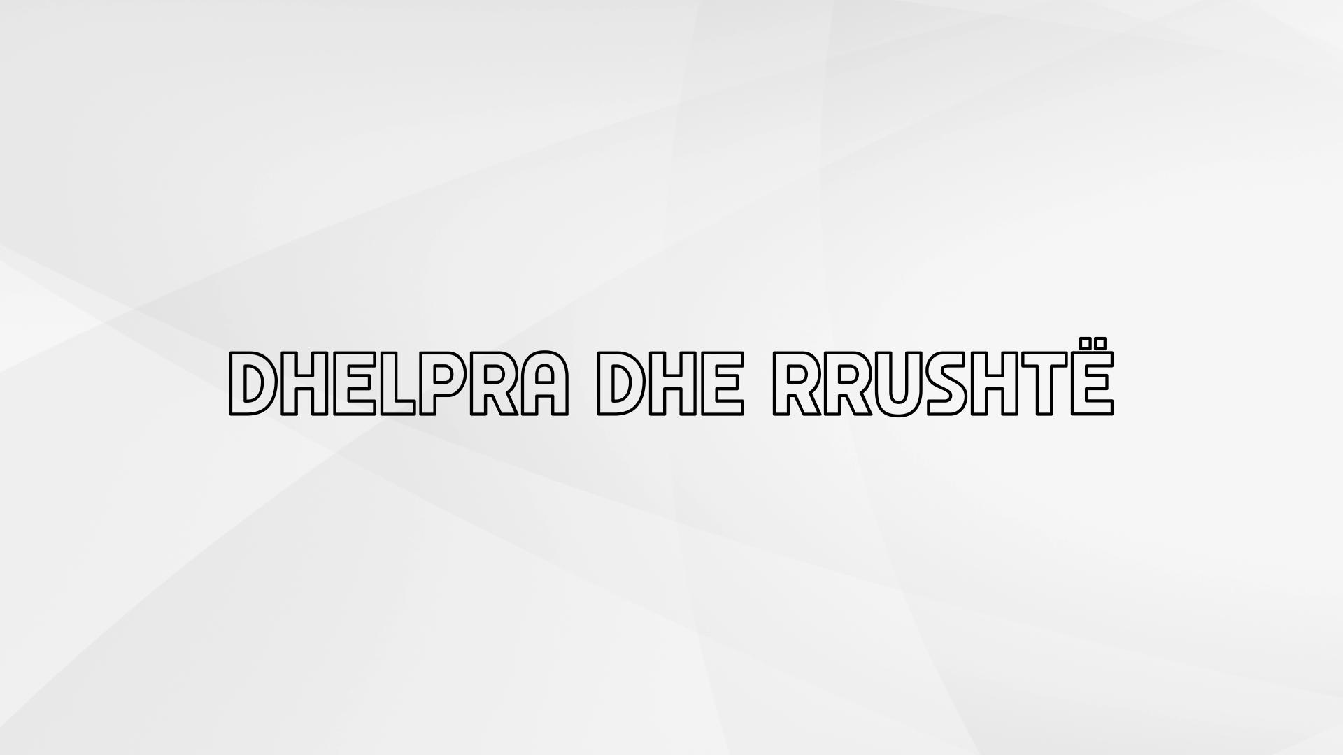 Dhelpra dhe rrushtë