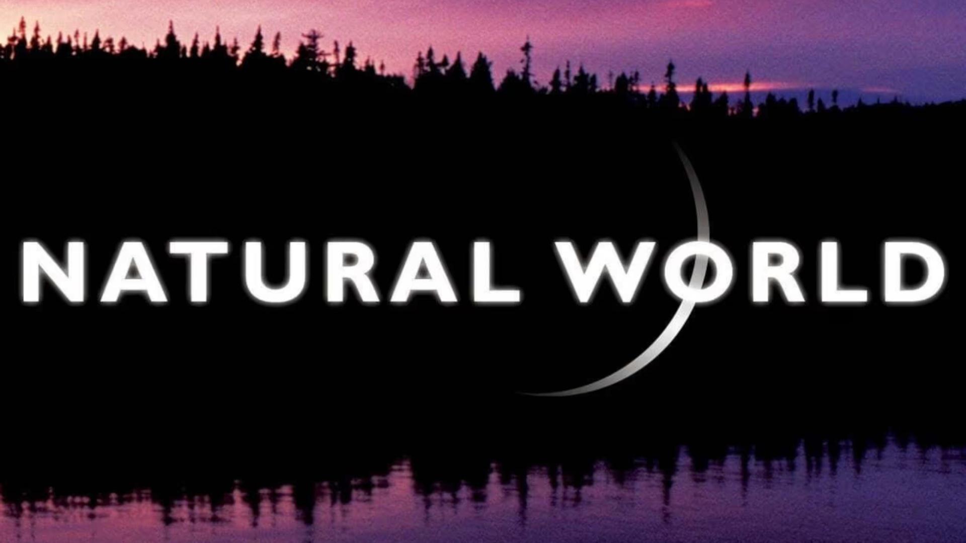 Natural World