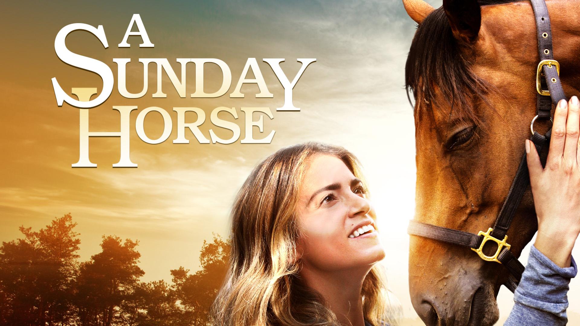 A Sunday Horse