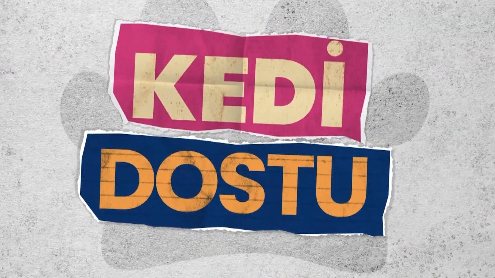 Kedi Dostu