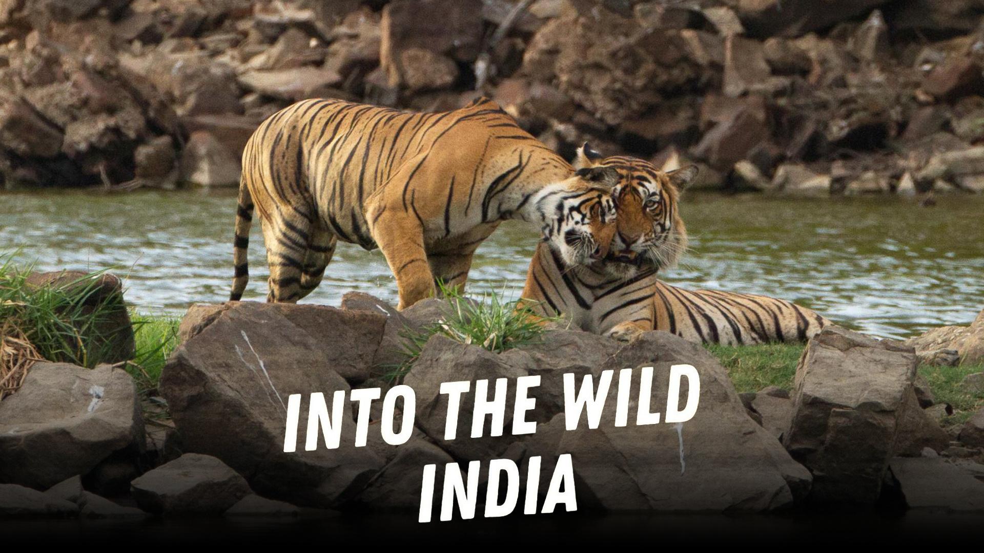 S0E9 - India e Egër