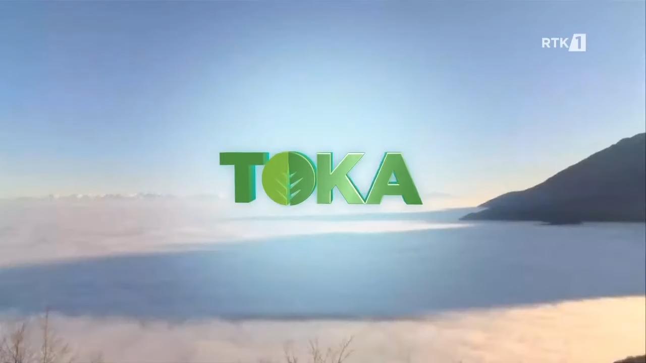 Toka