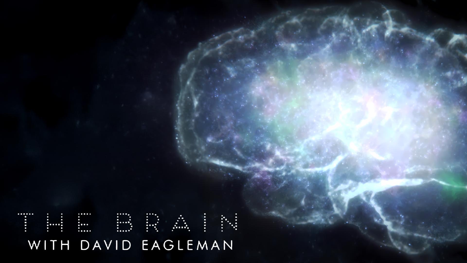 The Brain with Dr. David Eagleman