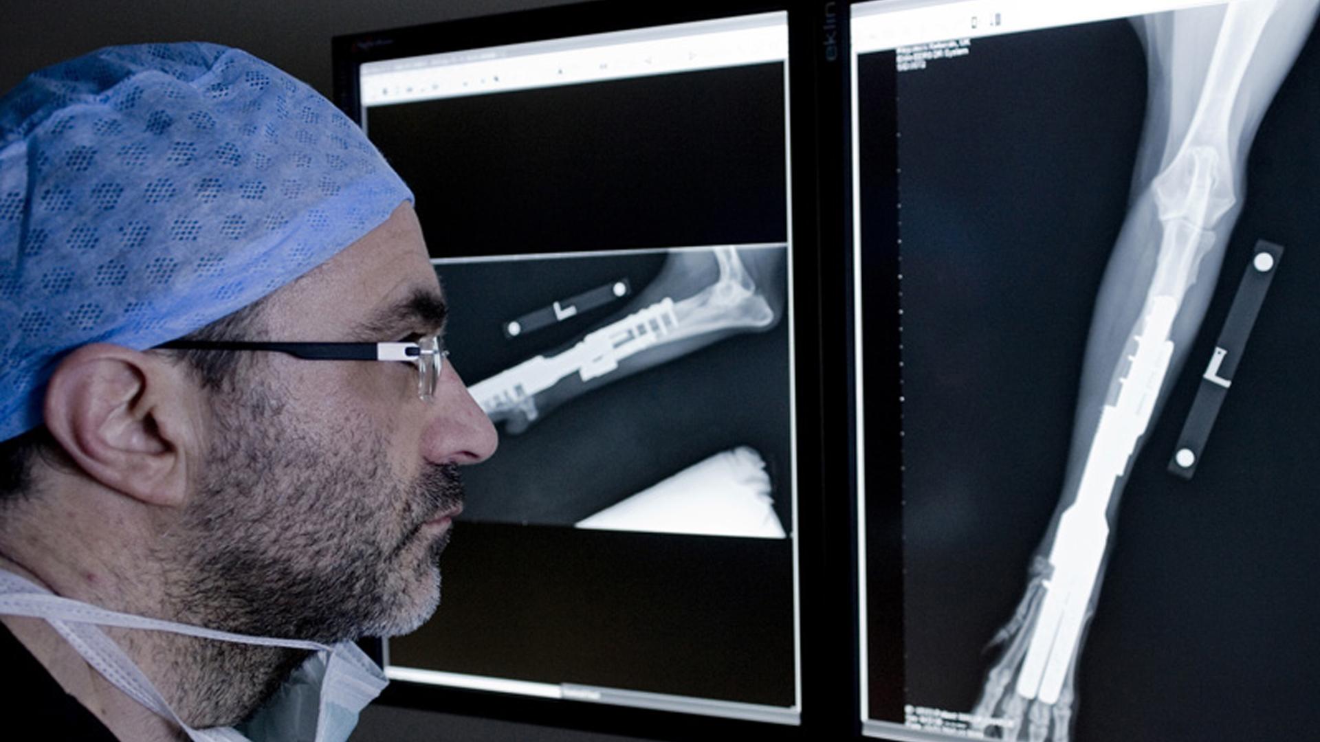 The Bionic Vet