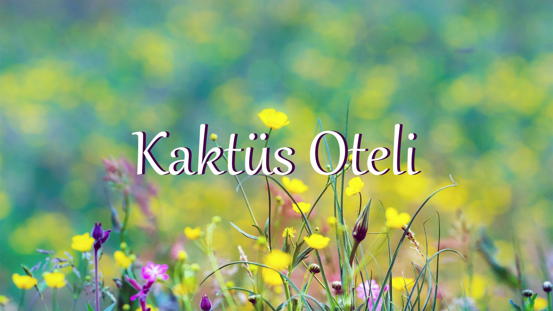 Kaktüs Oteli