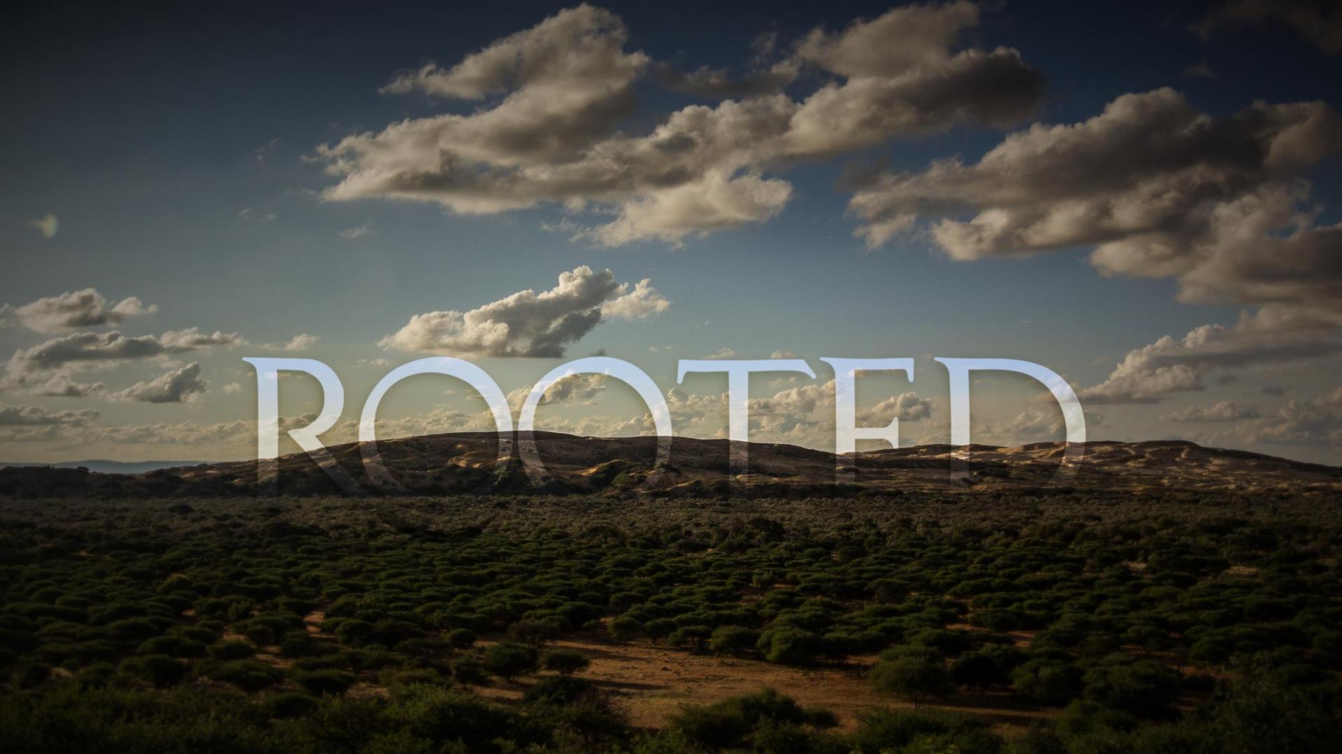 Rooted