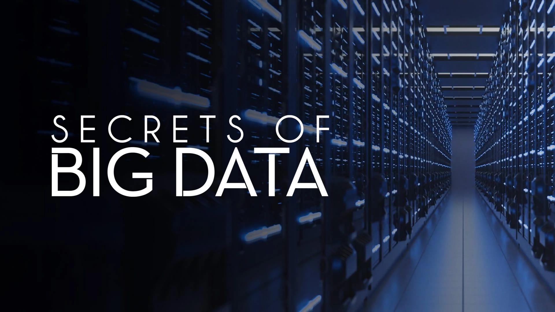 Secrets of Big Data
