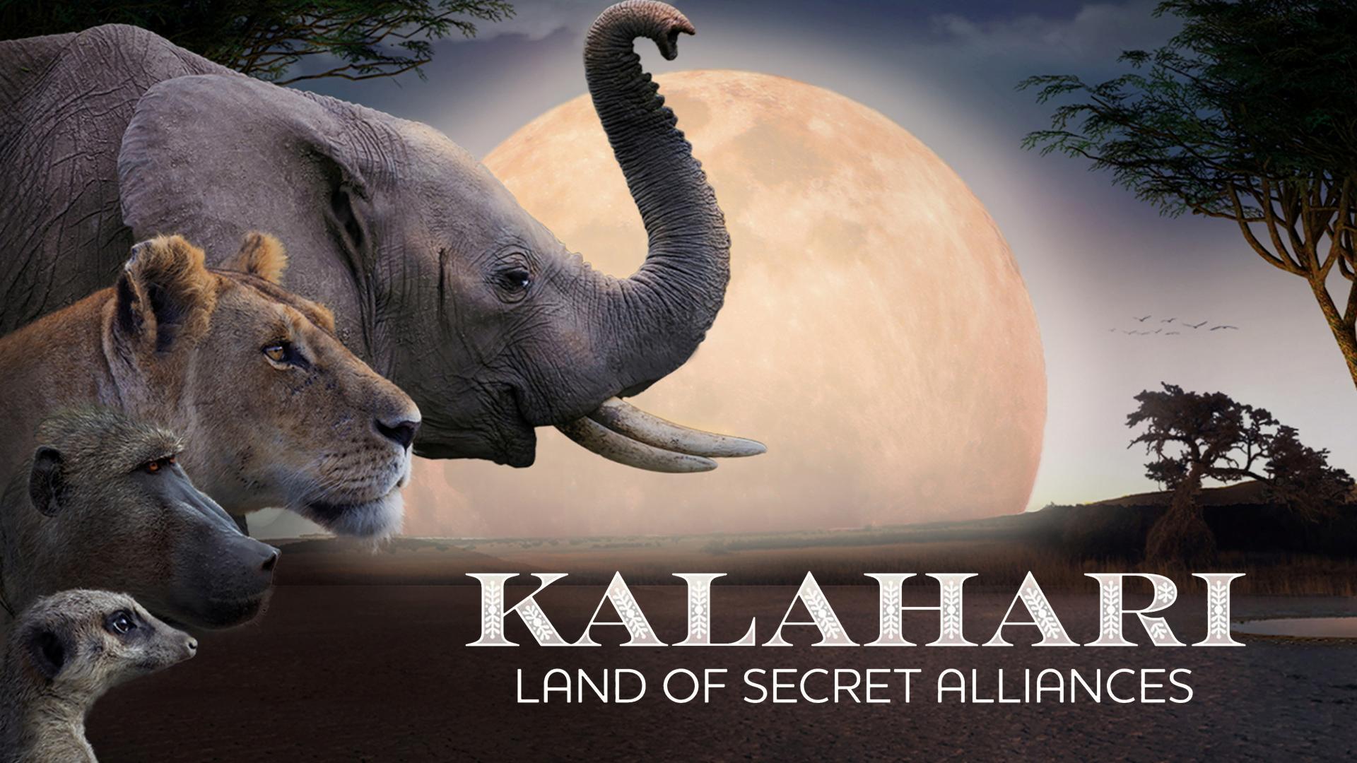 S0E1 - Kalahari