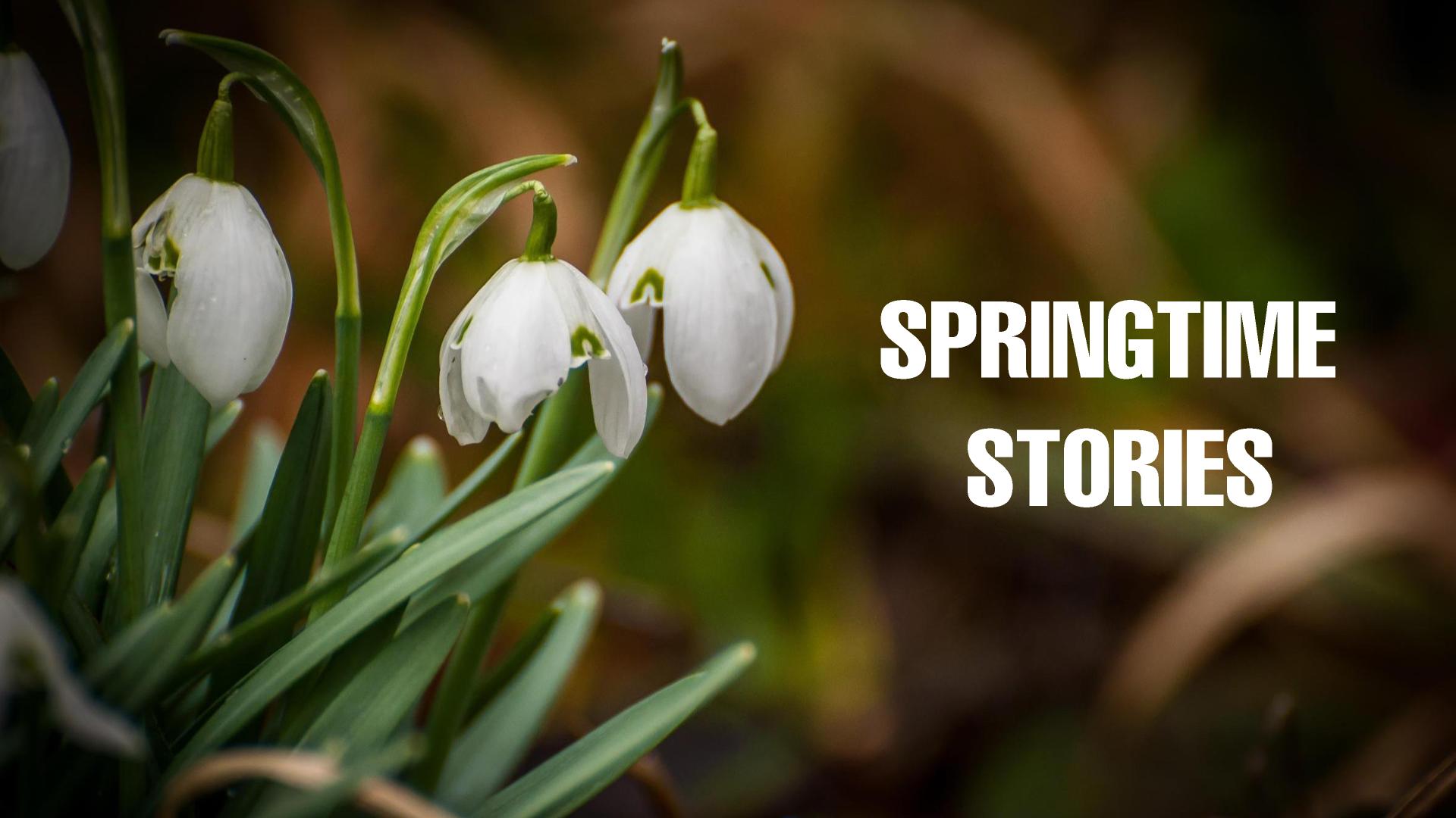 Springtime stories