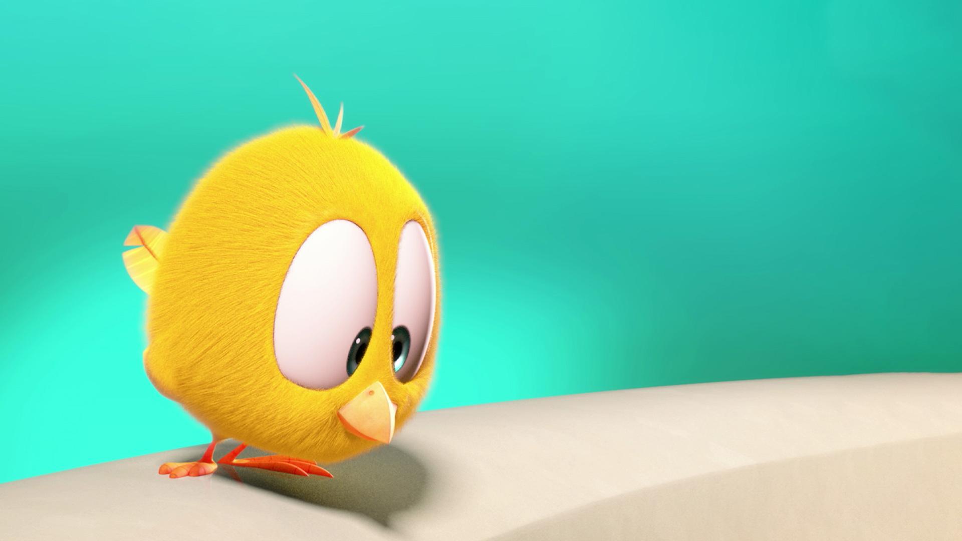 Where’s Chicky?