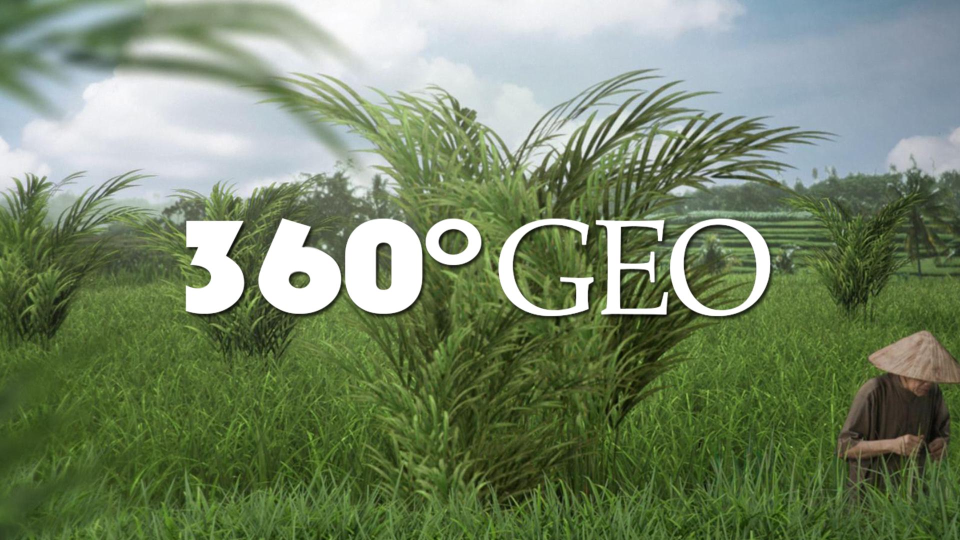 Geo 360