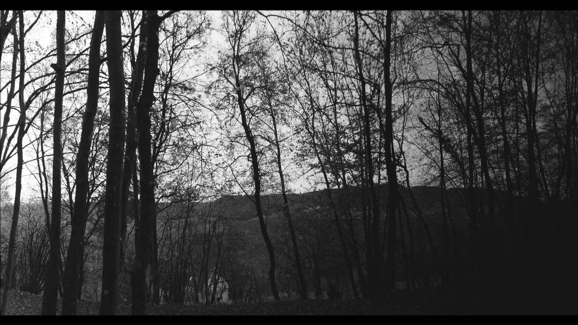 The Girl of the Mountains