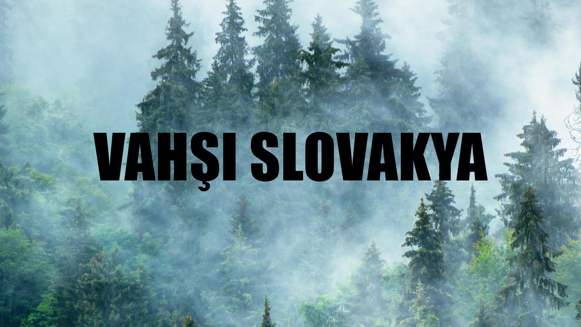 Vahşi Slovakya
