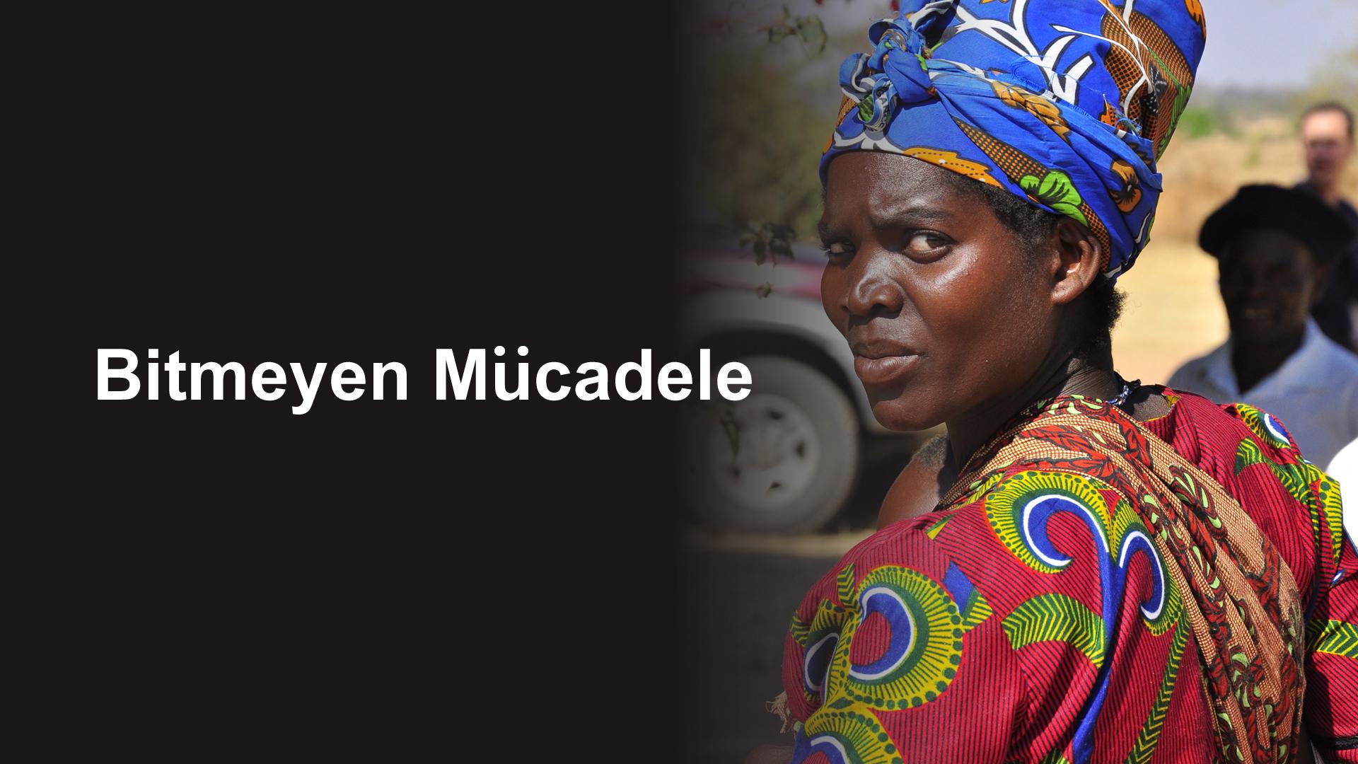 Bitmeyen Mücadele