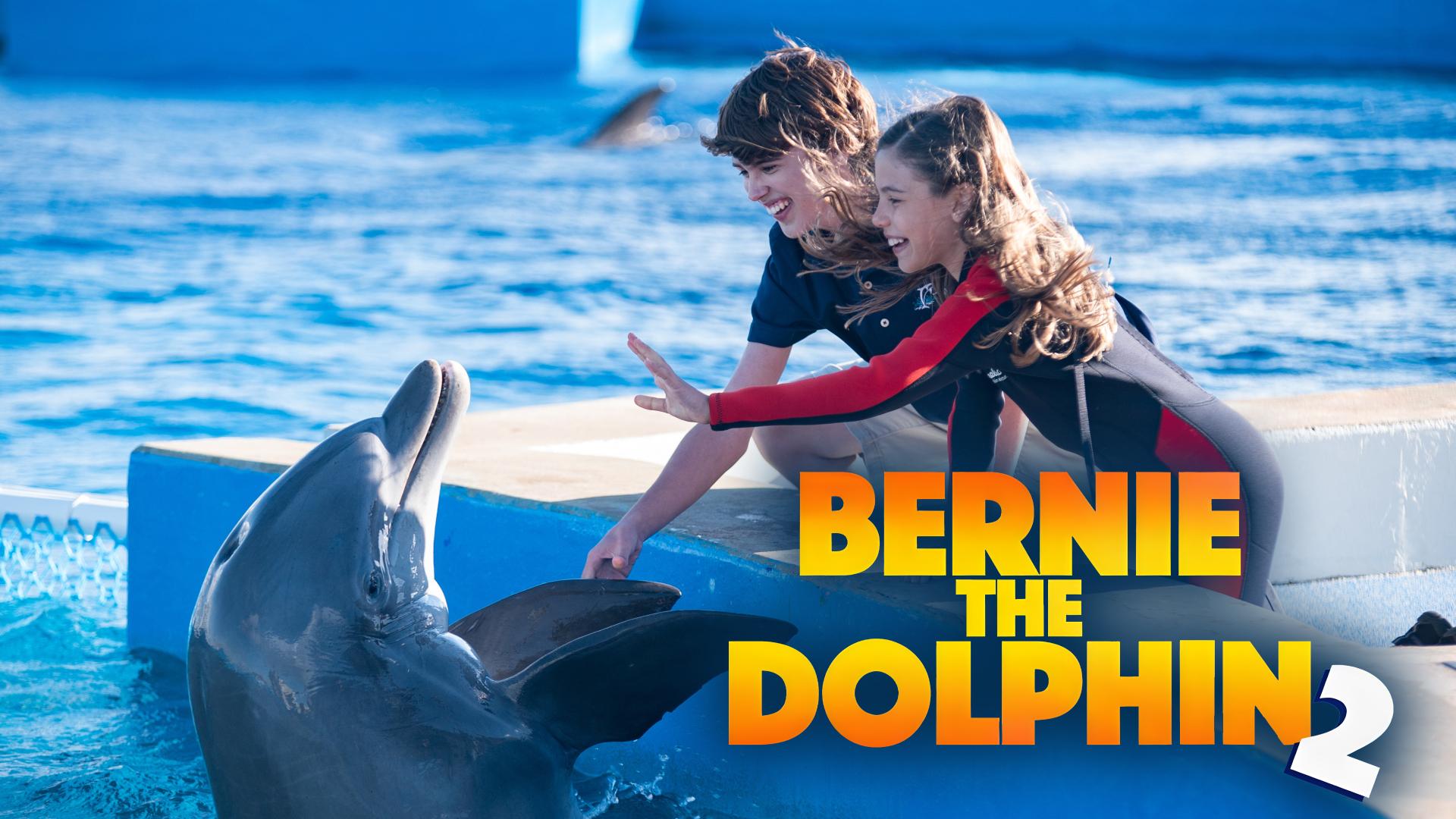 Bernie the Dolphin 2