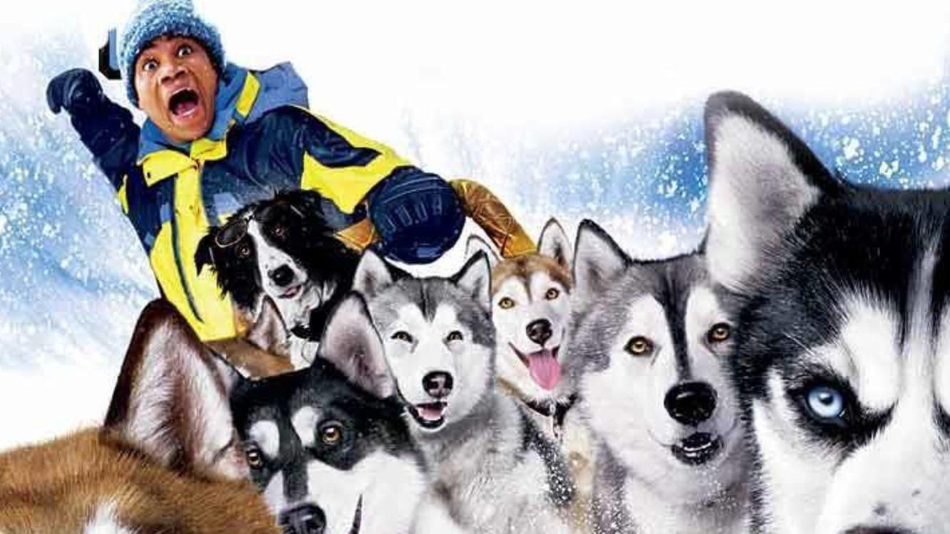 Snow Dogs