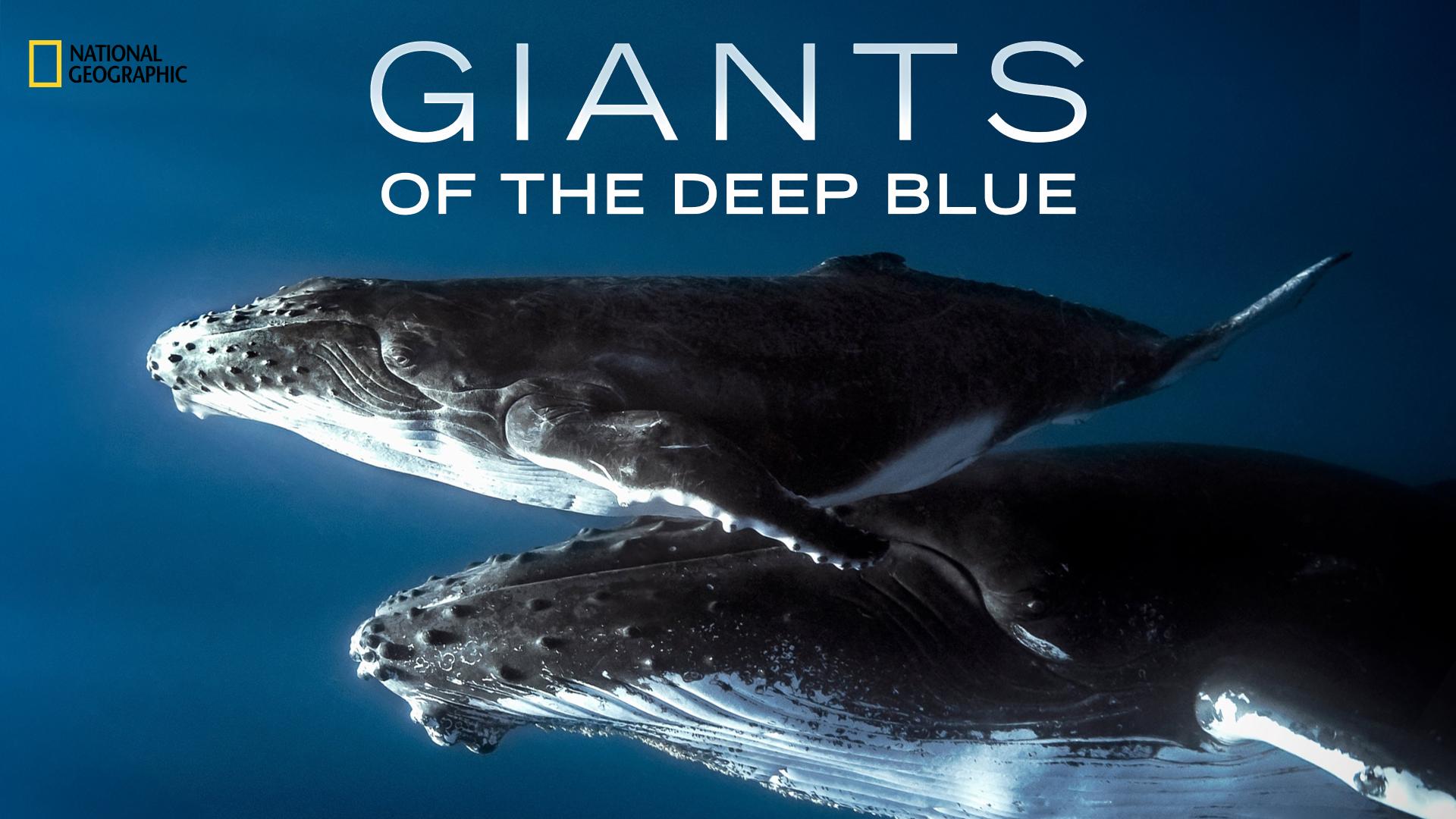 Giants of the Deep Blue