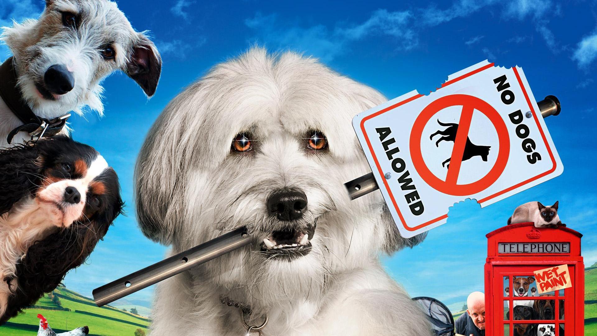 Pudsey the Dog: The Movie