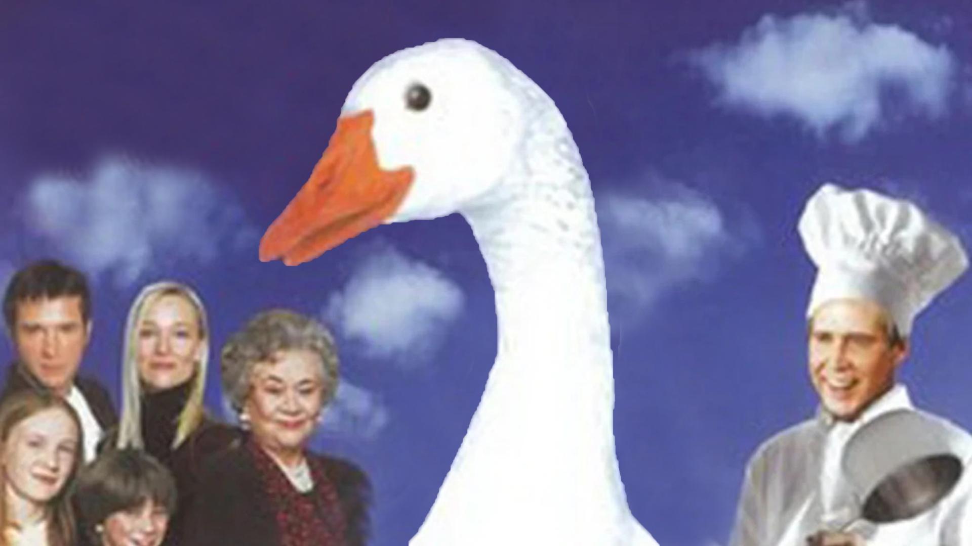 Goose on the Loose
