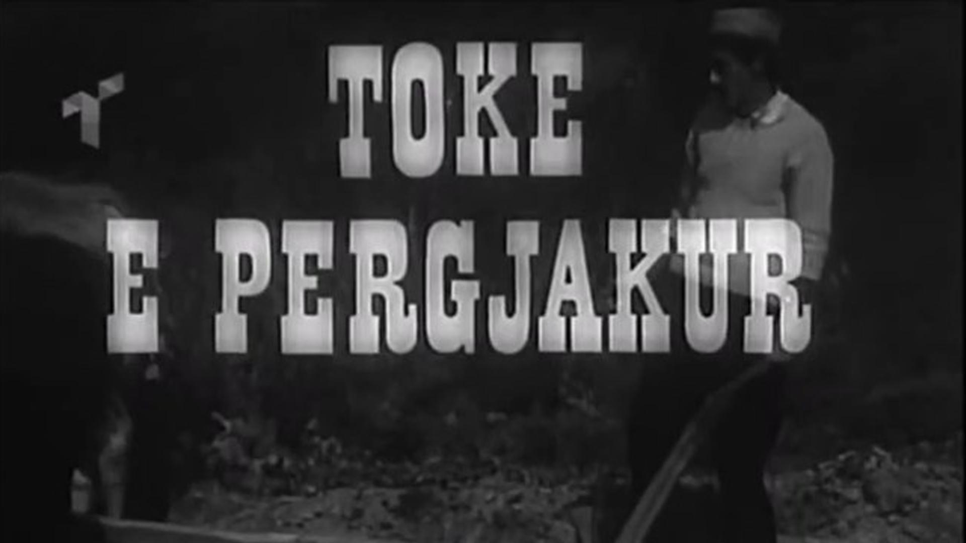 Tokë e përgjakur