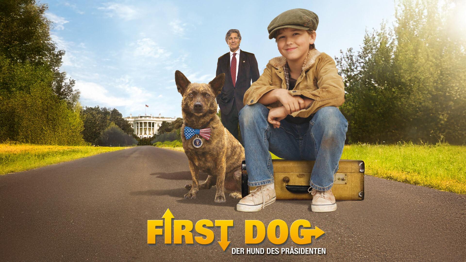 First Dog