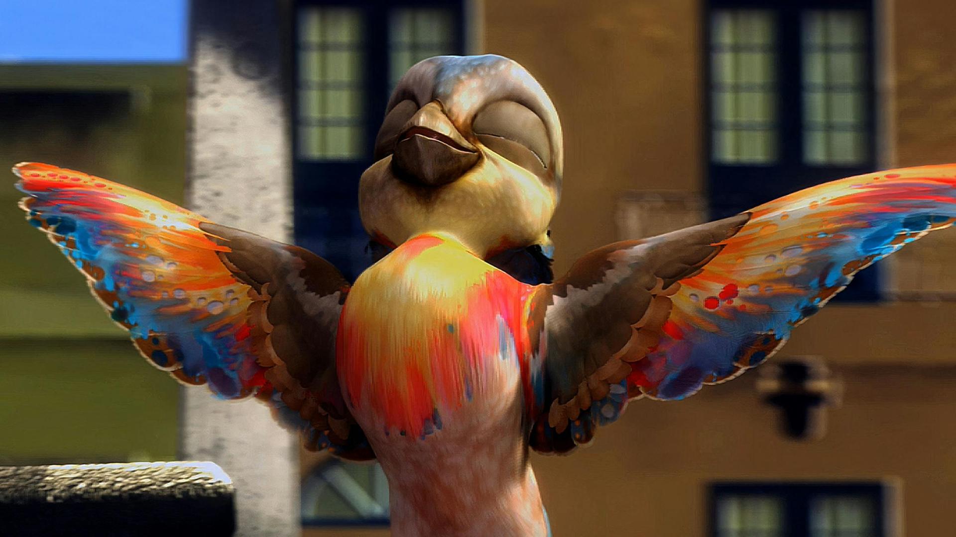 Birds of Paradise