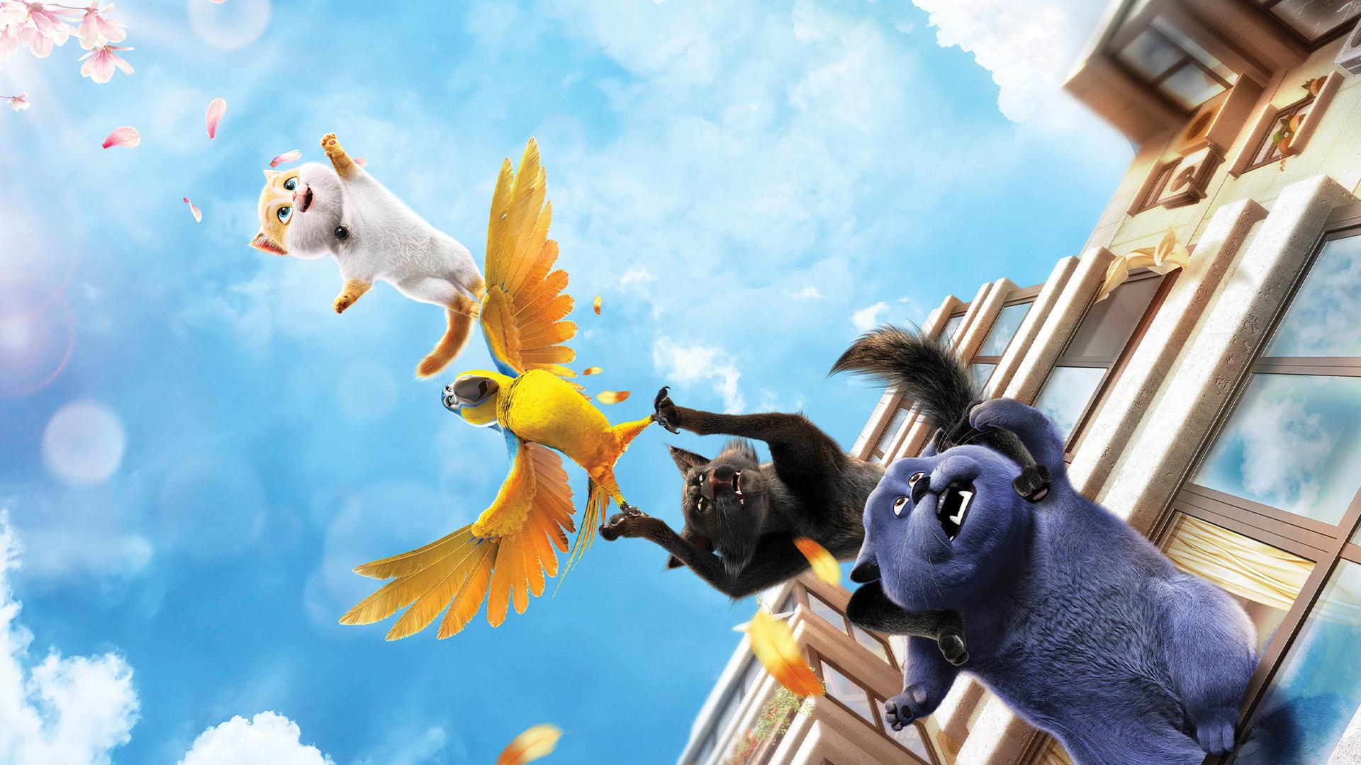 Cats