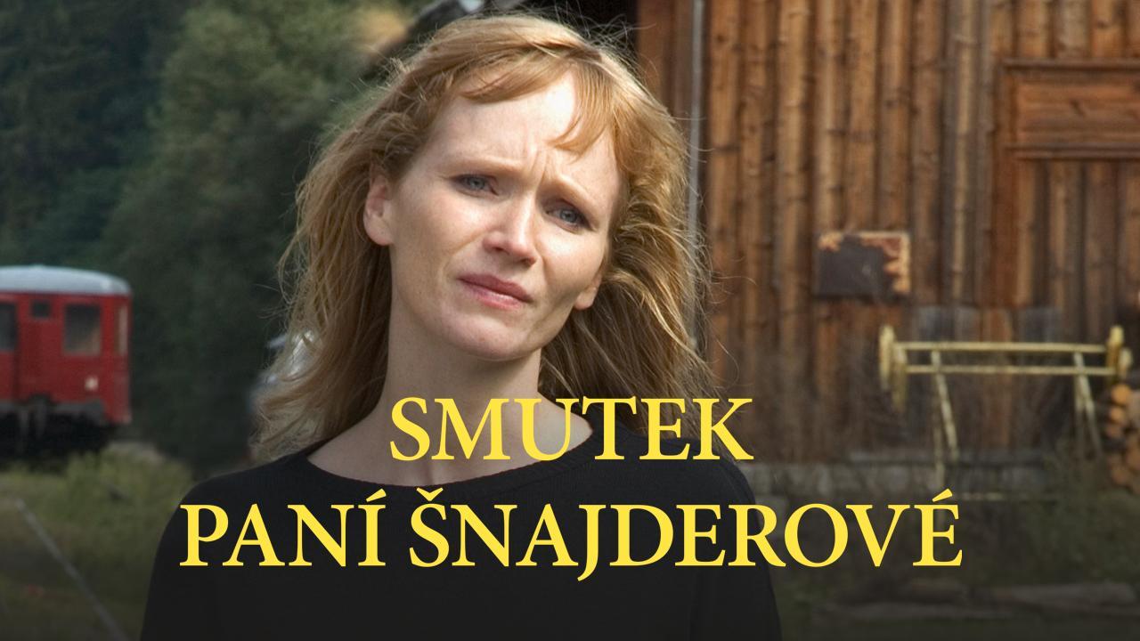Trishtimi i zonjës Shnajder