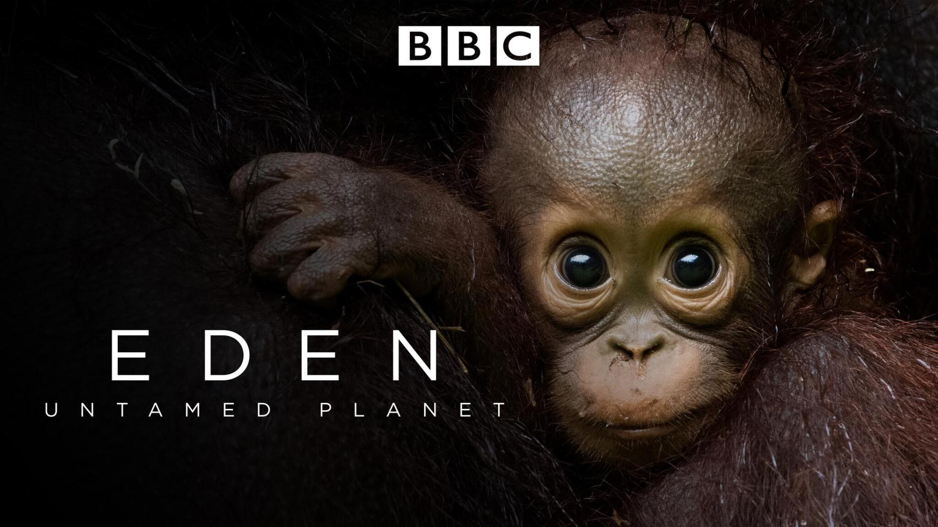 Eden: Untamed Planet