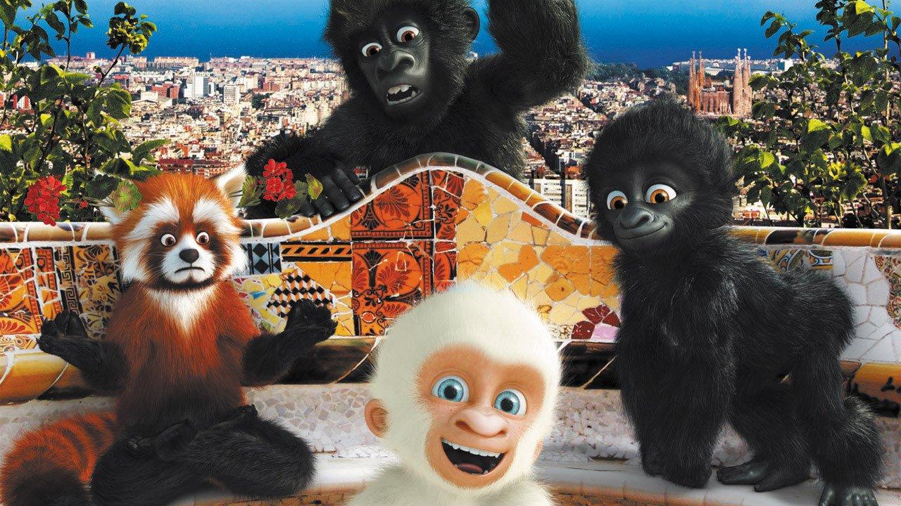 Flokëdëbora, gorilla e bardhë