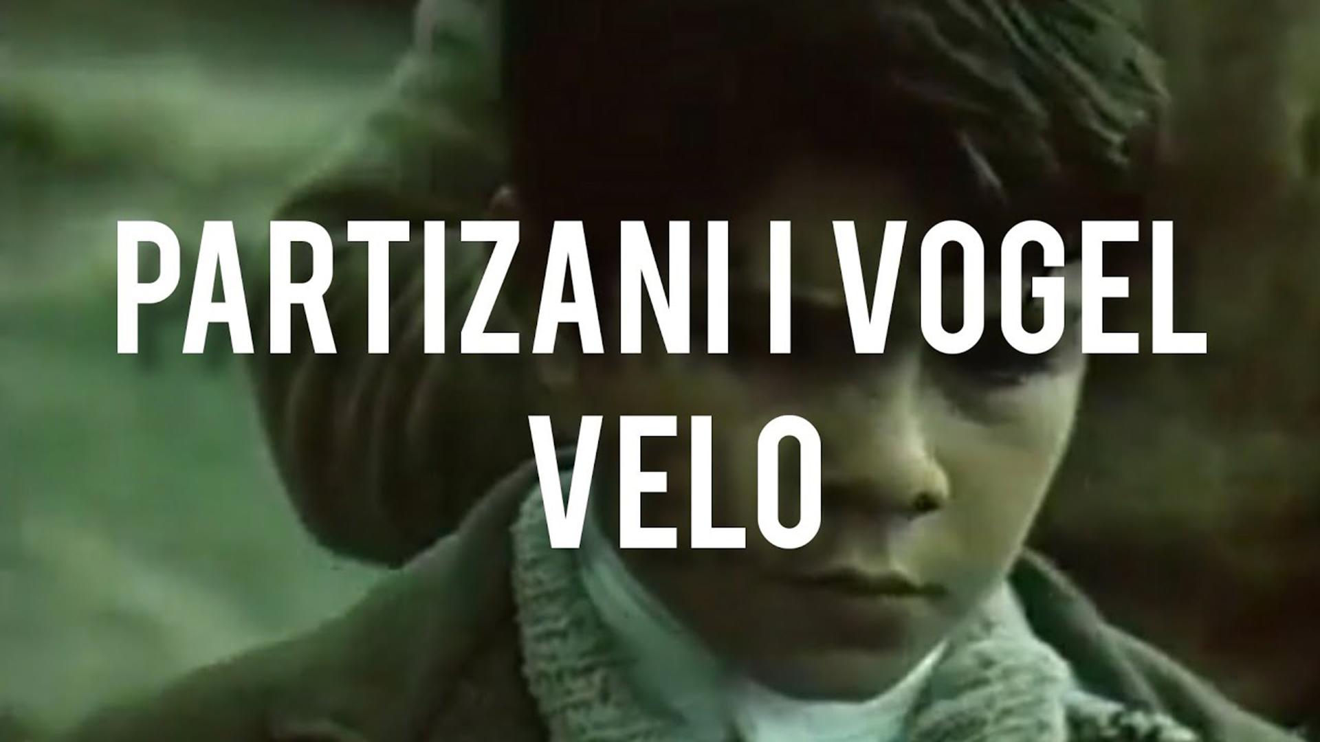 Partizani i vogël Velo