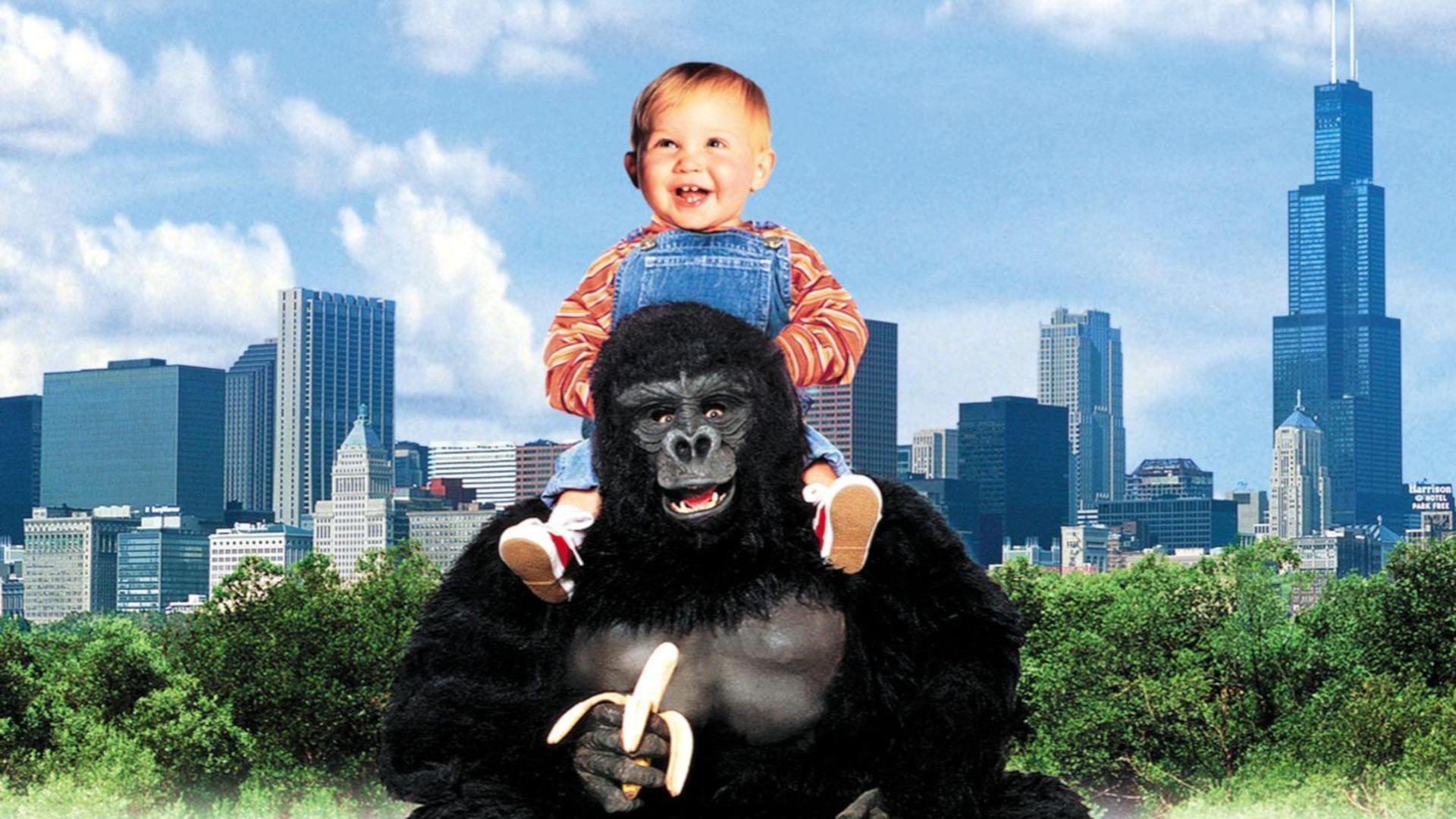 Baby’s Day Out