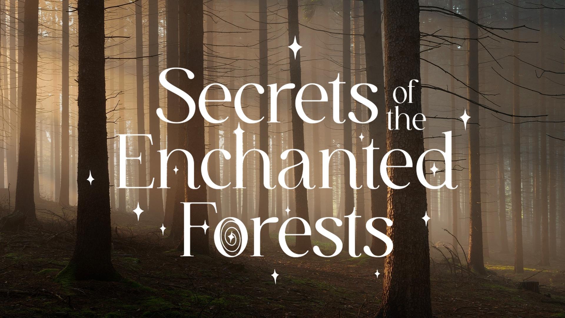 Secrets of the Enchanted Forests