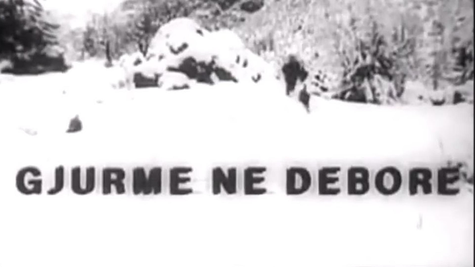 Gjurmë në dëborë