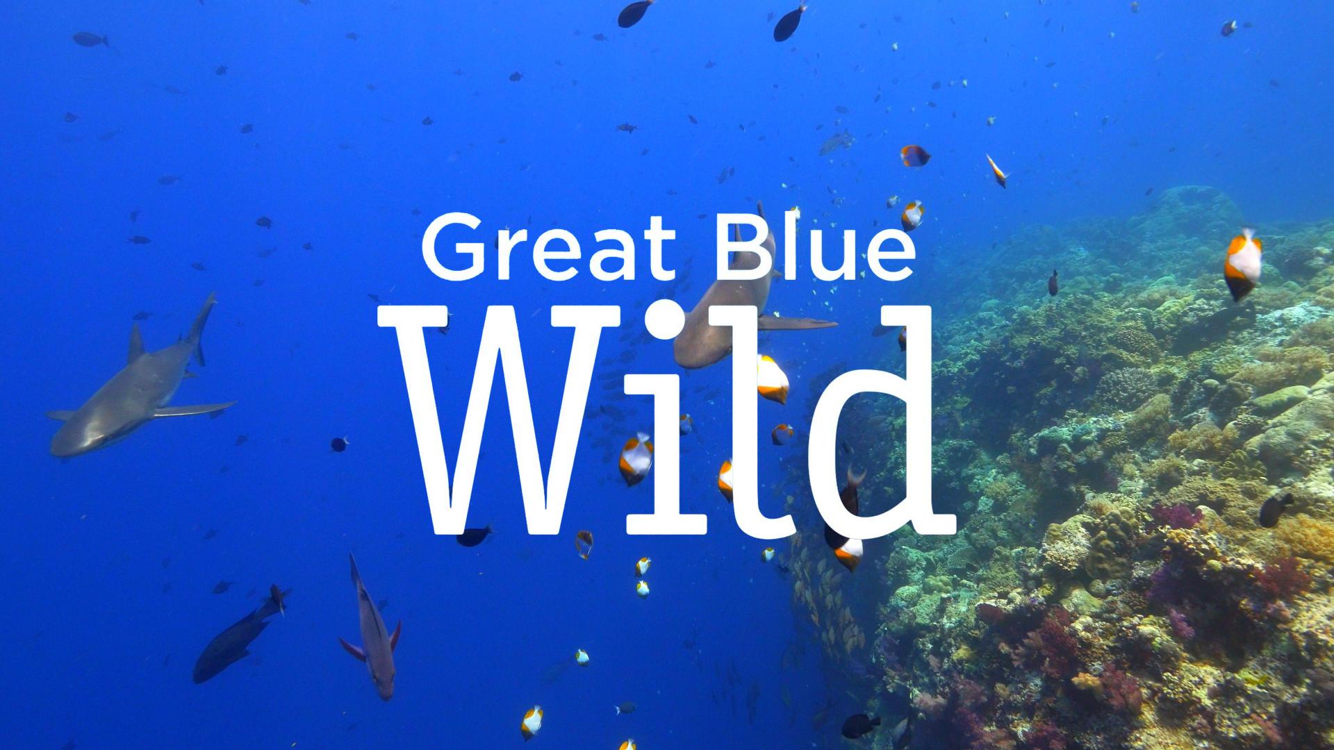 Great Blue Wild