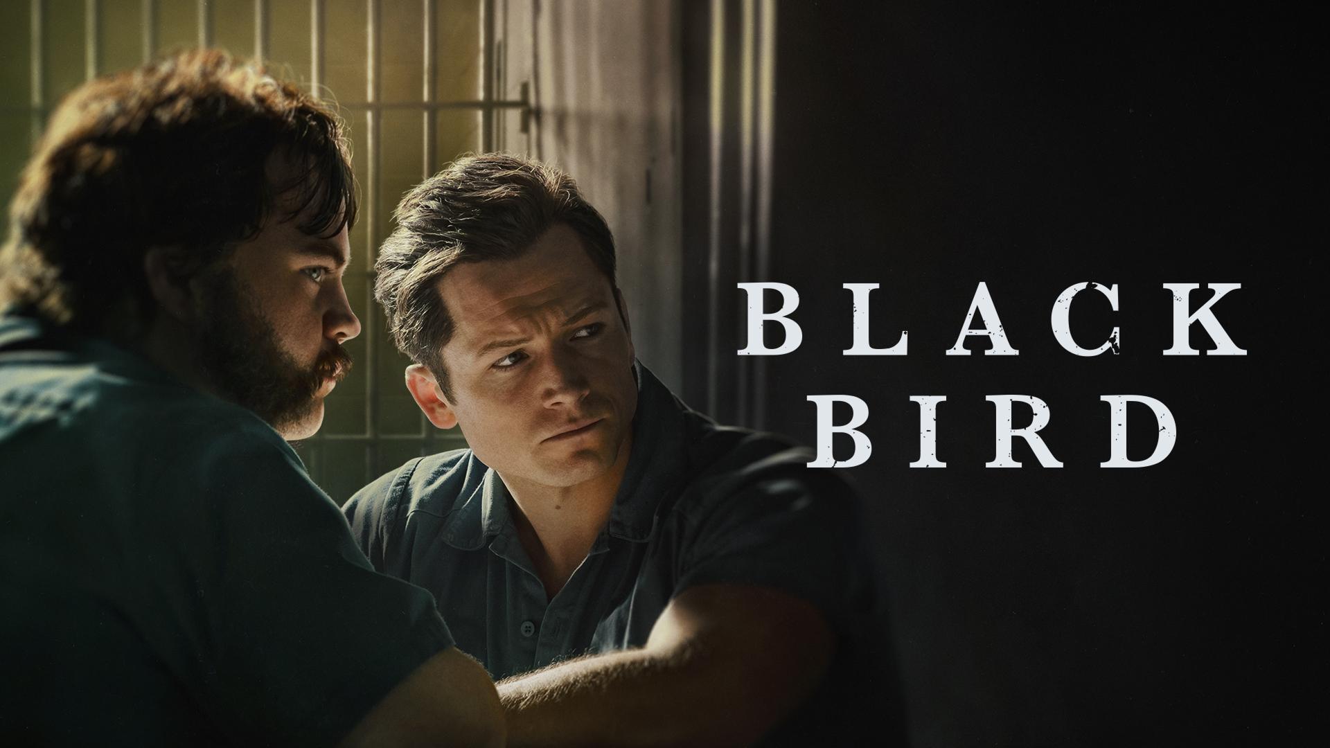 Black Bird