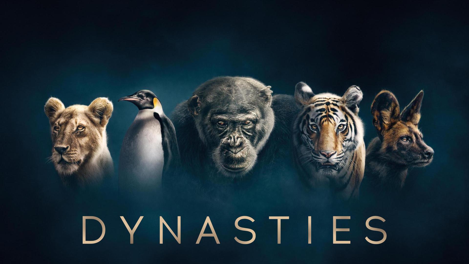 S0E5 - Dinastitë
