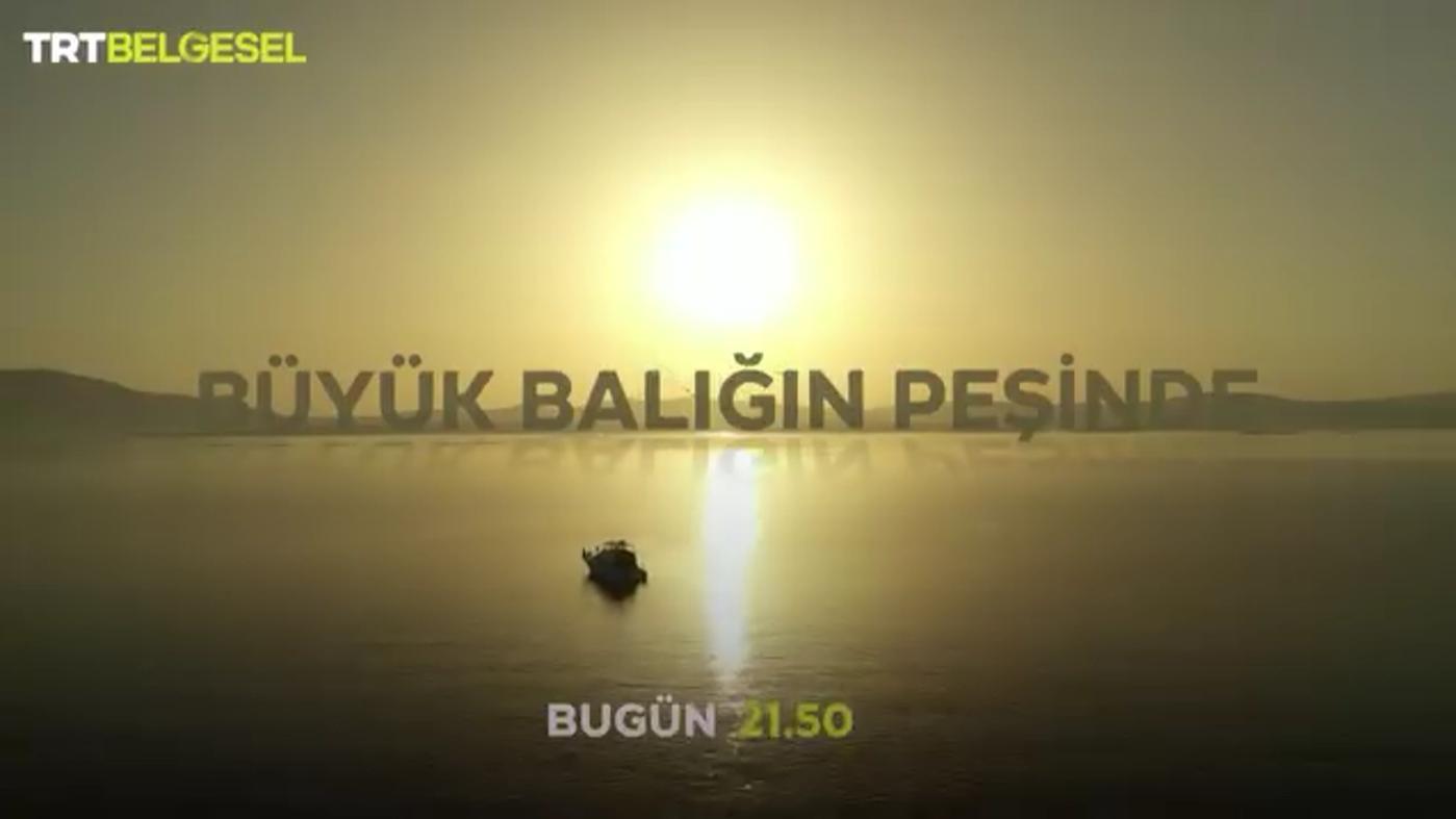 Büyük Balığın Peşinde