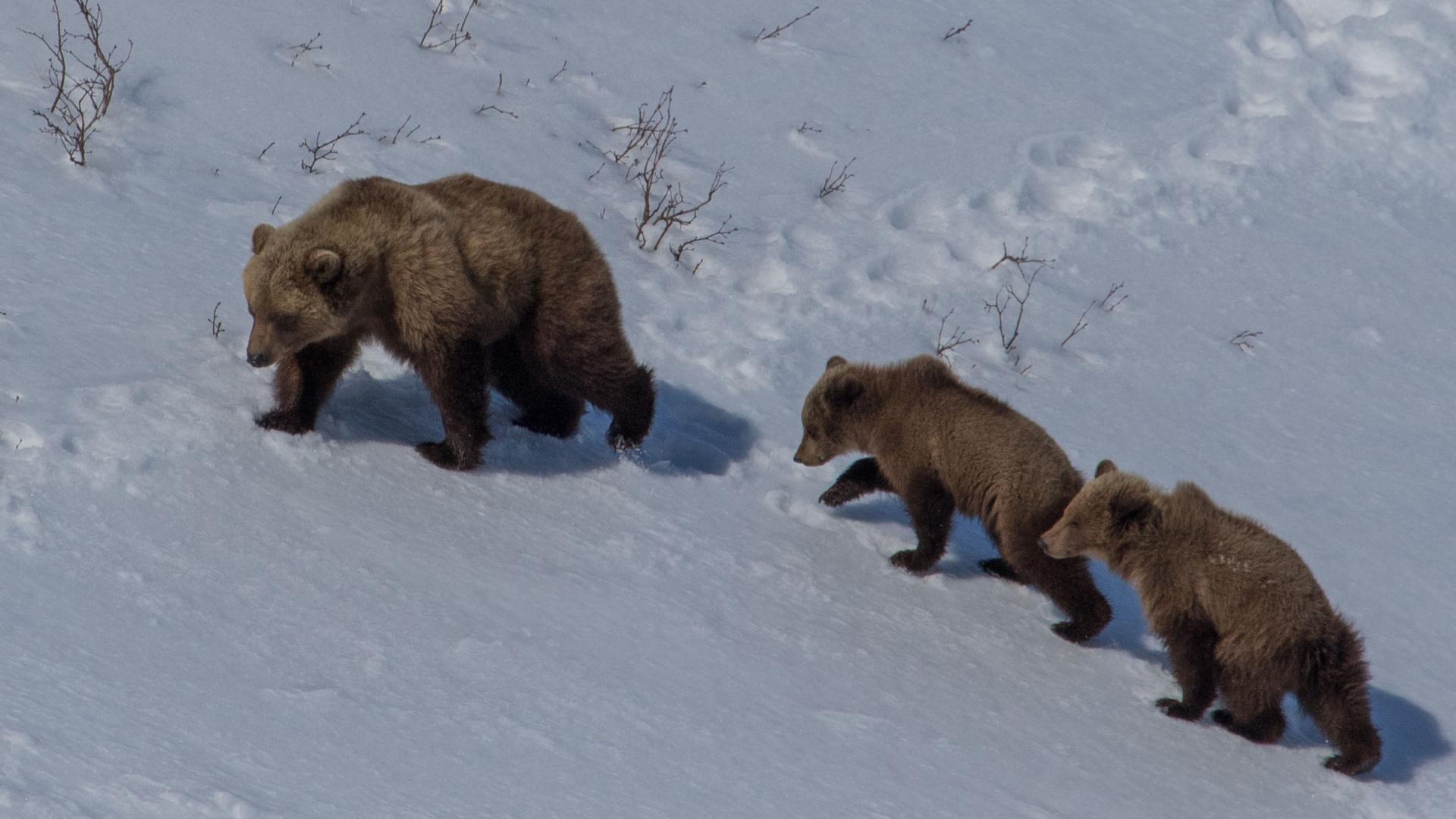 Russia’s Wild Sea