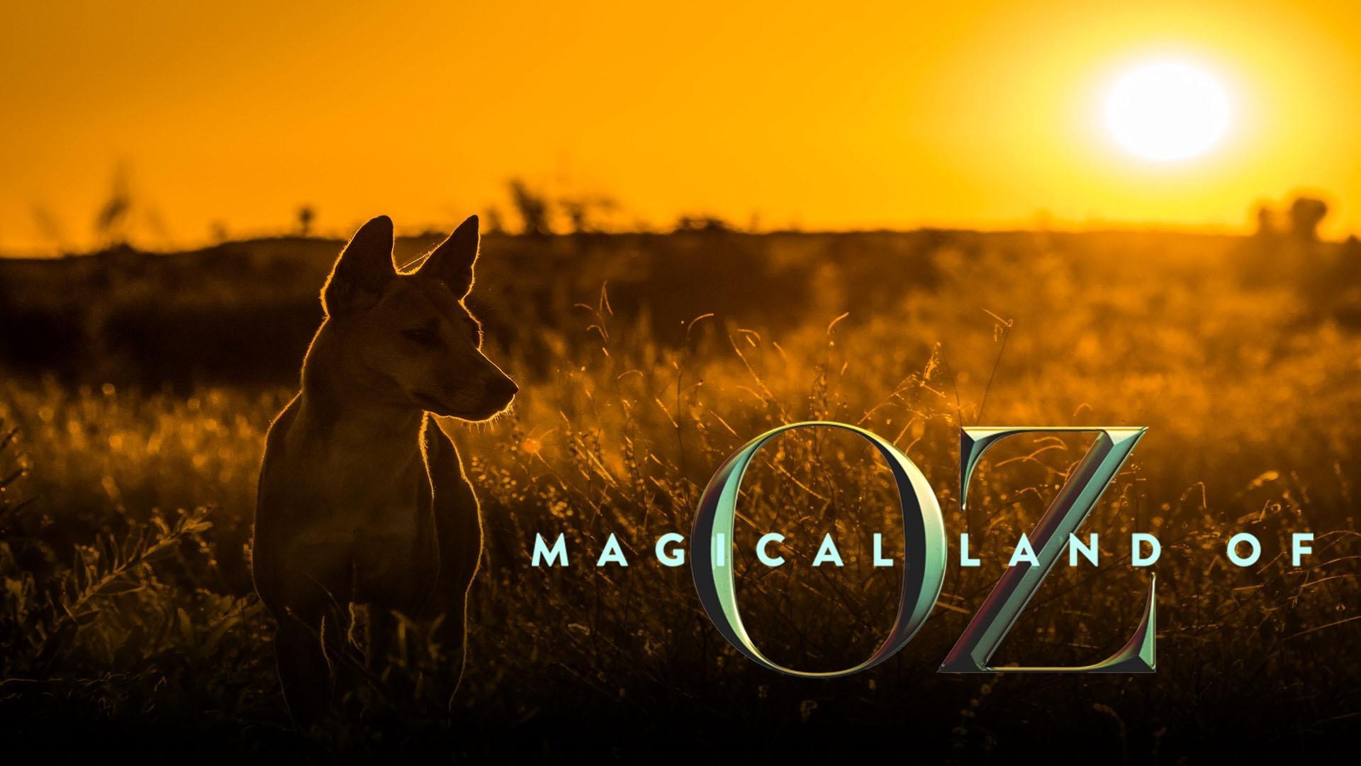 Magical Land of Oz