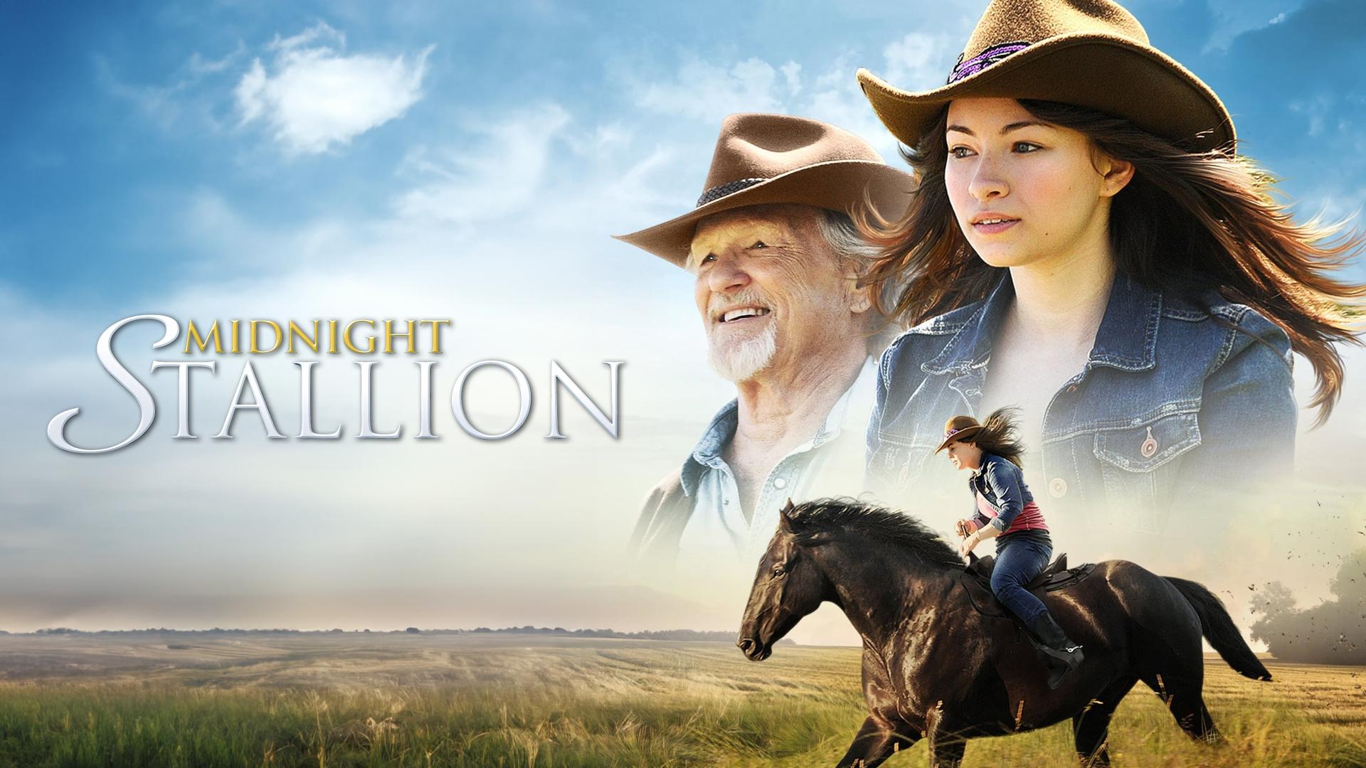Midnight Stallion