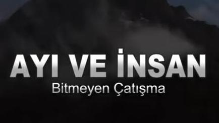 Ayı ve İnsan