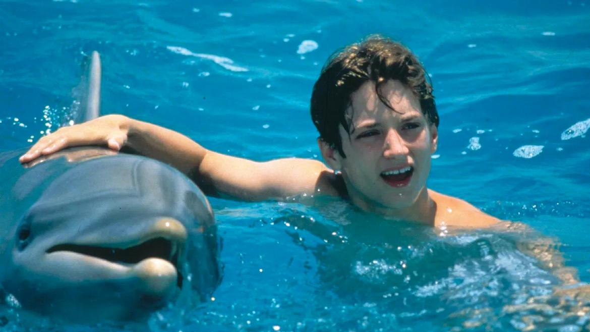 Flipper