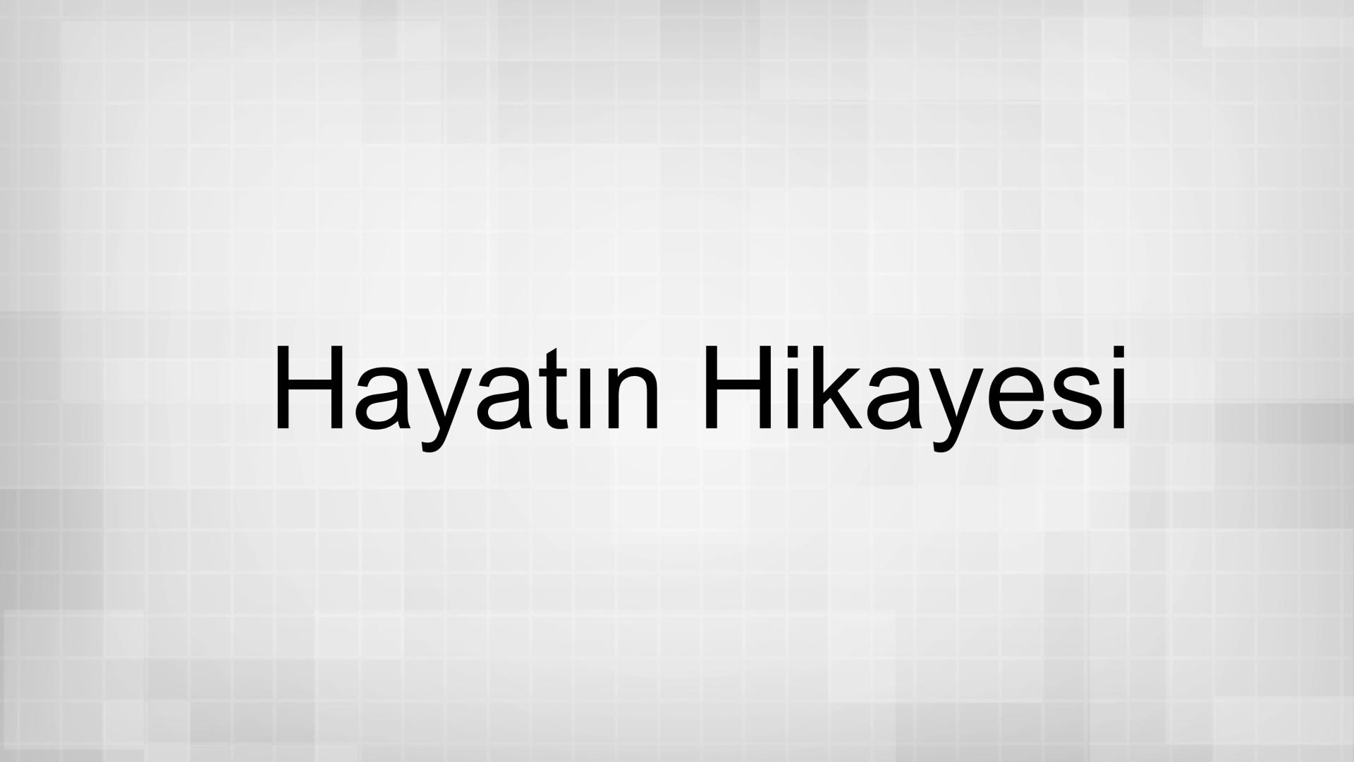 Hayatın Hikayesi