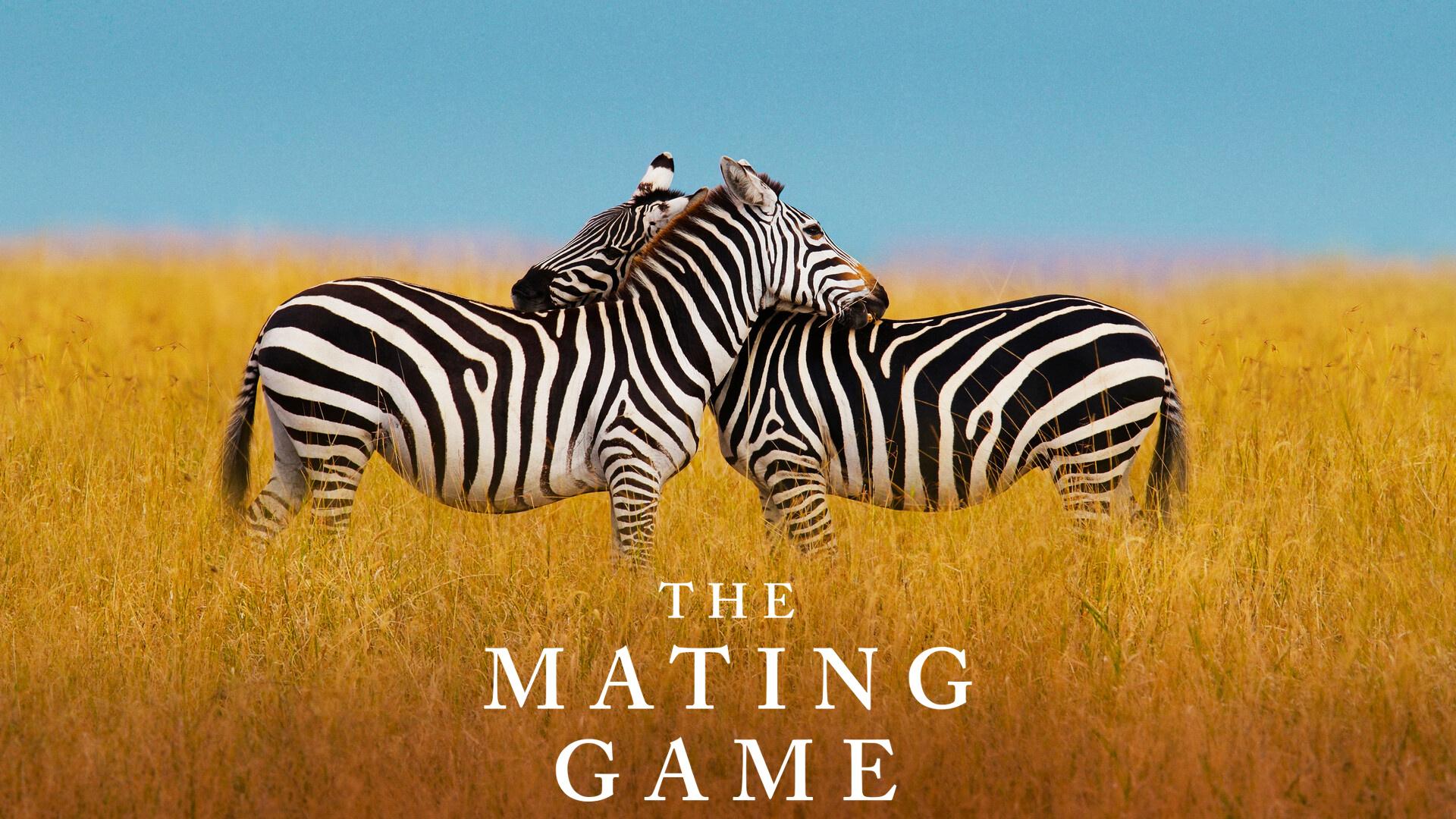 The Mating Game