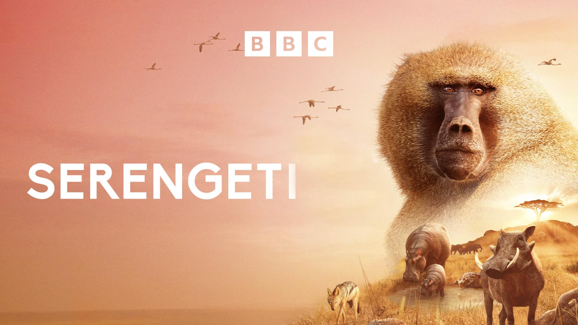 S0E1 - Serengeti