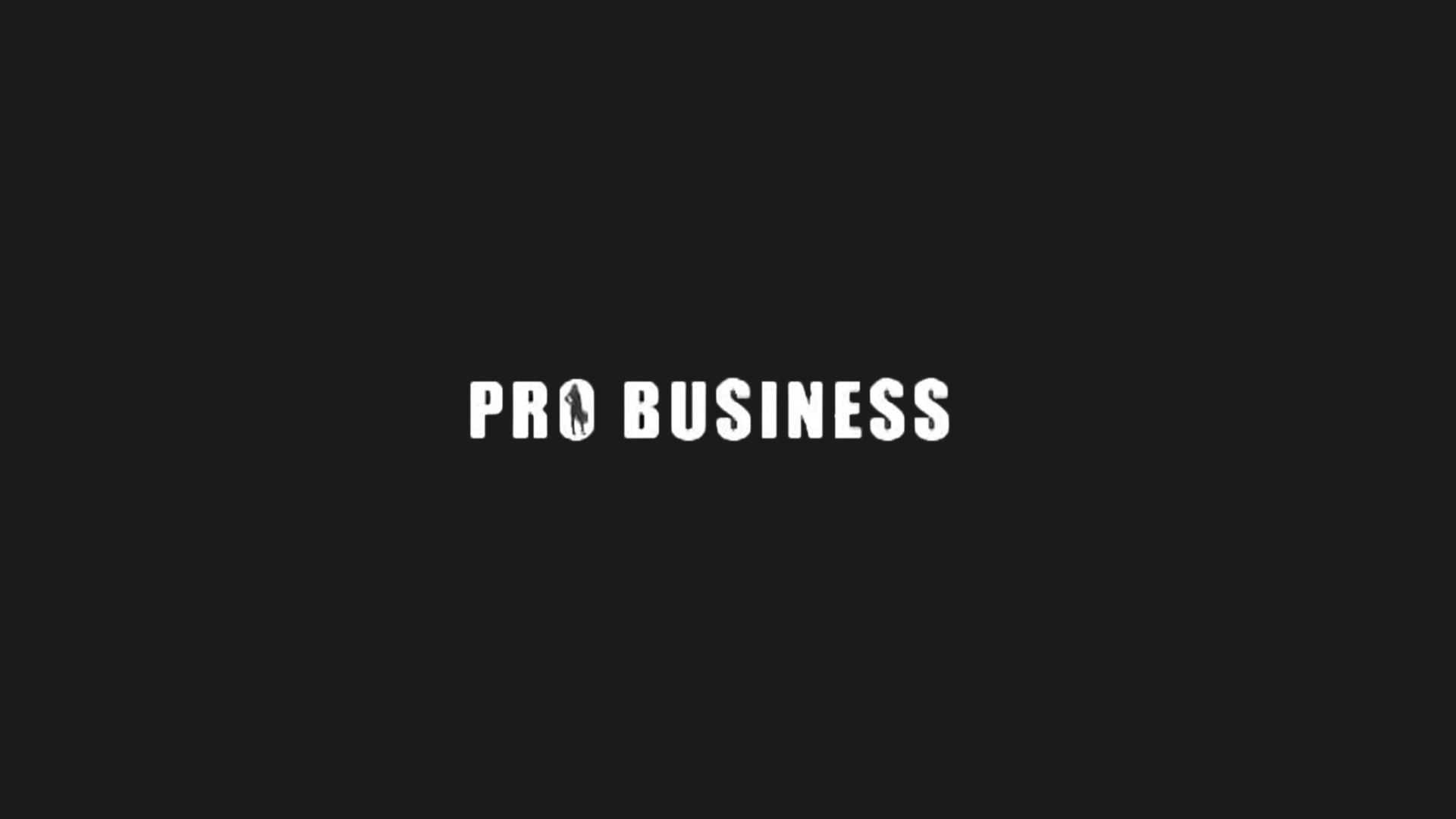 Pro Business