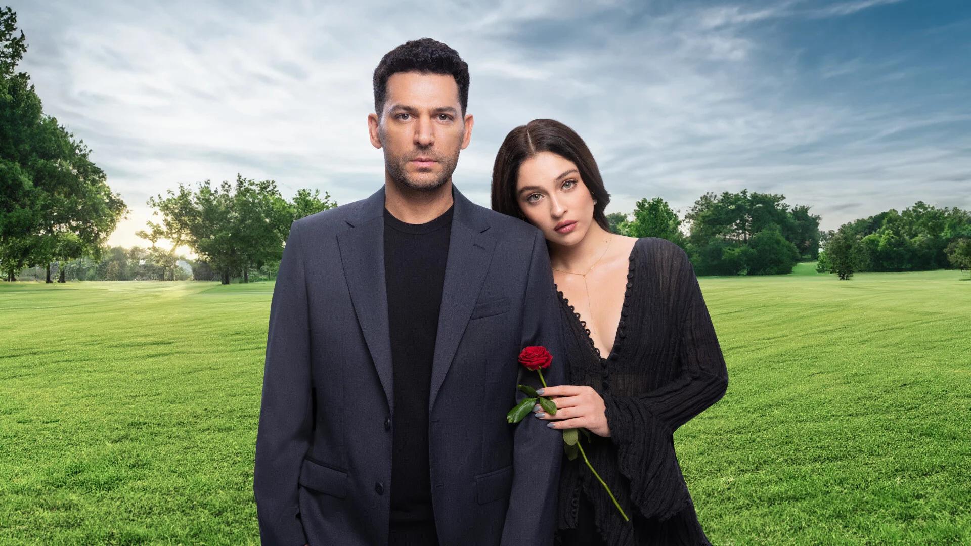 Sins and Roses