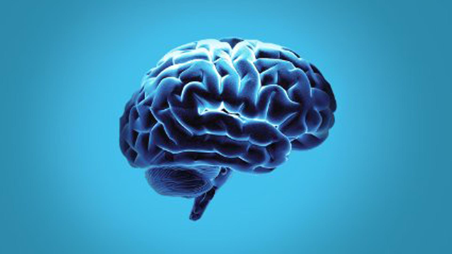 Brain Fitness