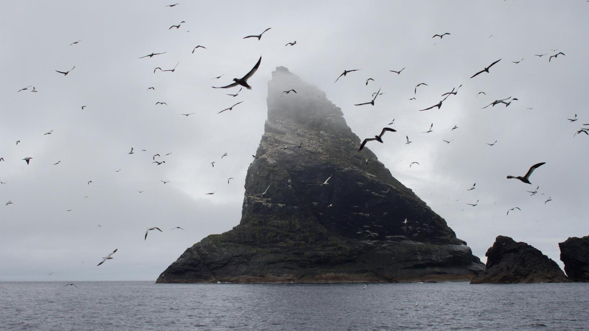 Wildest Islands